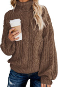 Thick Chunky Turtleneck Sweater